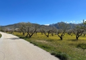 Non-developable land for sale on España, Dílar, ref: TR413483 photo