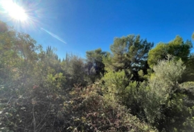 Jávea 1500&nbsp;m²