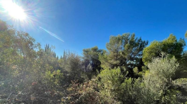 Alicante - Xàbia - 1500m2