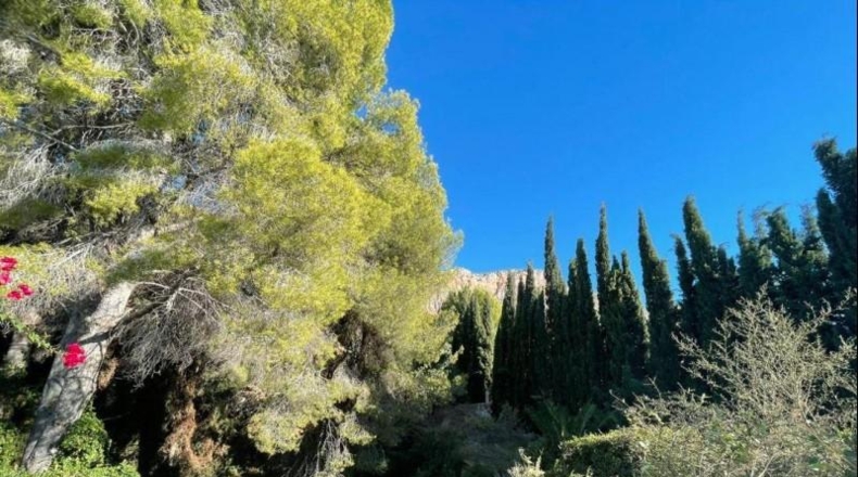 Alicante - Xàbia - 1500m2