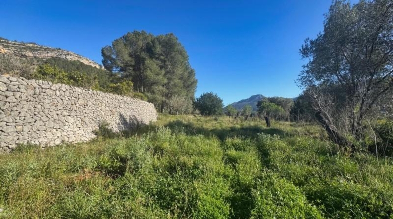 Alicante - Parcent - 13151m2