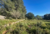 Terreno no urbanizable en venta en la España, Parcent, ref: TR413494 foto