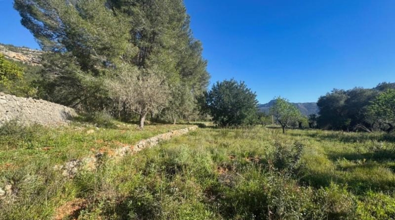 Alicante - Parcent - 13151m2