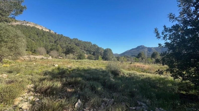 Alicante - Parcent - 13151m2