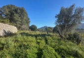 Terreno no urbanizable en venta en la España, Parcent, ref: TR413494 foto