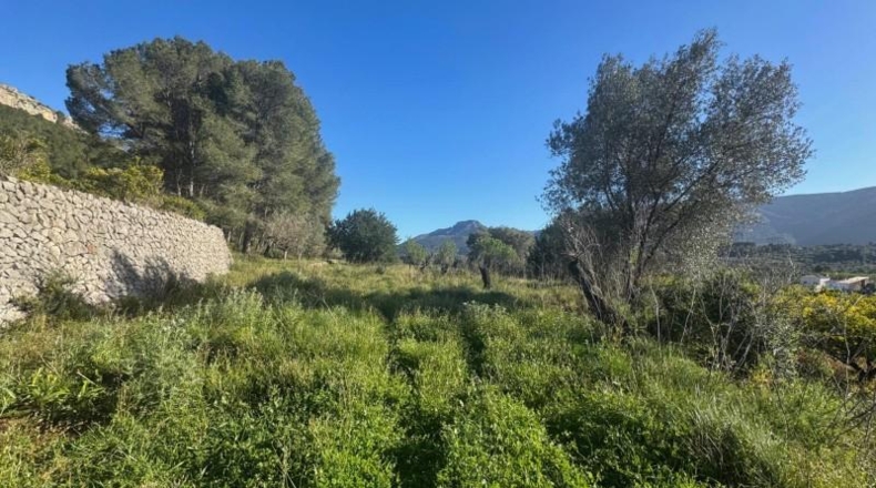 Alicante - Parcent - 13151m2