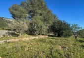 Terreno no urbanizable en venta en la España, Parcent, ref: TR413494 foto
