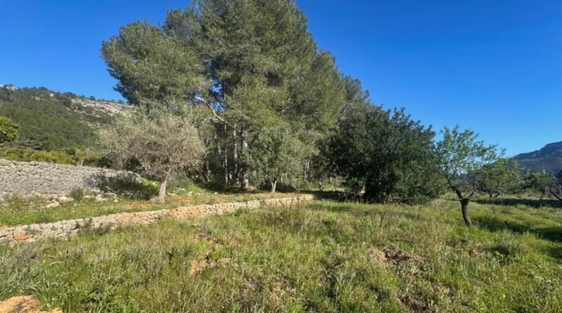 Alicante - Parcent - 13151m2