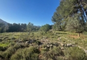 Terreno no urbanizable en venta en la España, Parcent, ref: TR413494 foto