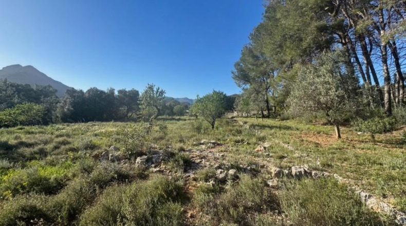 Alicante - Parcent - 13151m2