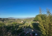 Terreno no urbanizable en venta en la España, Murla, ref: TR413497 foto