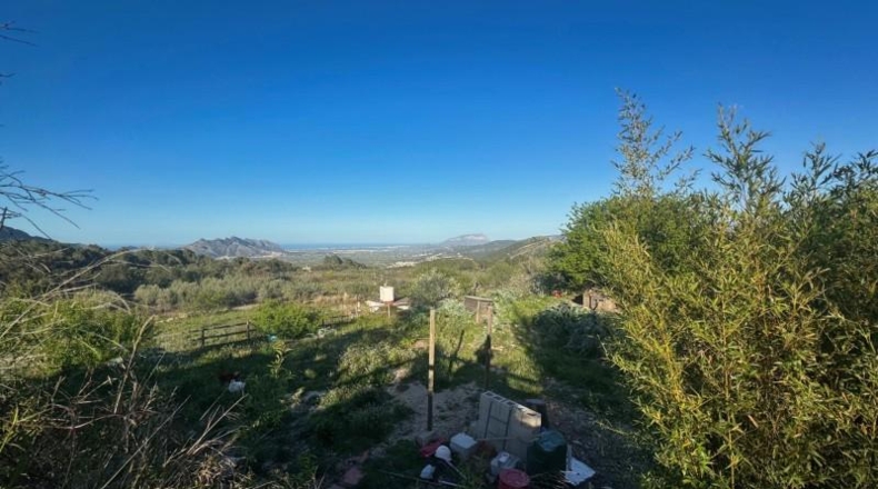 Alicante - Murla - 10175m2