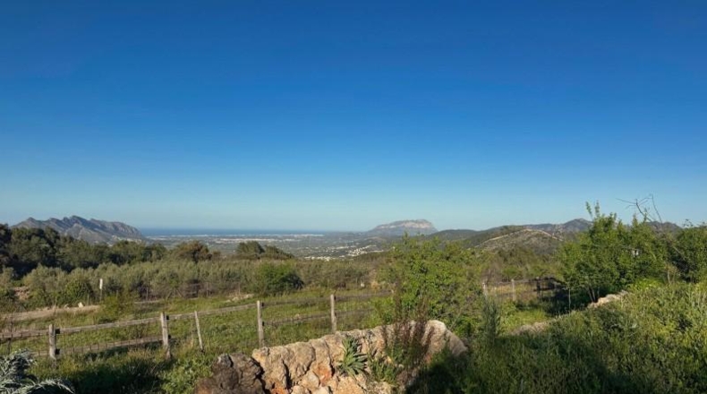 Alicante - Murla - 10175m2