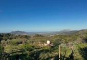 Terreno no urbanizable en venta en la España, Murla, ref: TR413497 foto