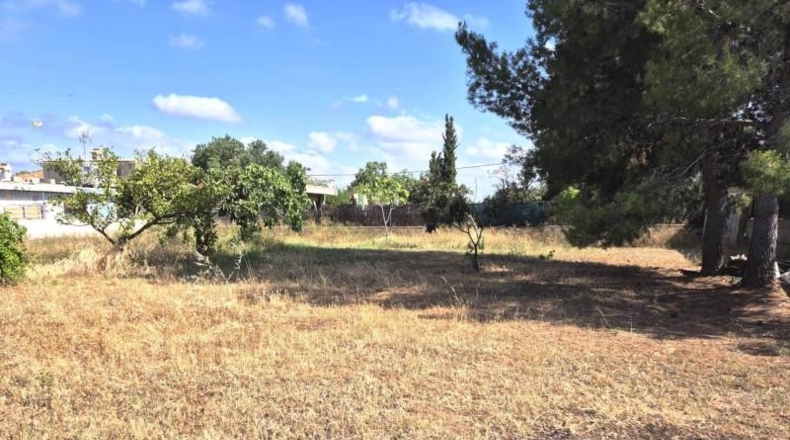 Valencia - Llíria - 1228m2