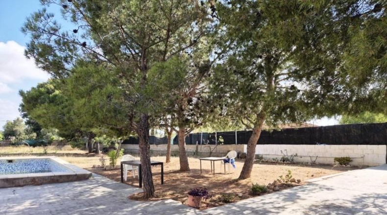 Valencia - Llíria - 1228m2