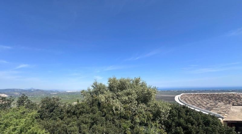 Alicante - Pego - 1022m2