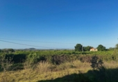 Finca rústica en venta en la España, Pego, ref: TR413506 foto