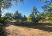 Finca rústica en venta en la España, Pego, ref: TR413506 foto