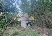 Finca rústica en venta en la España, Pego, ref: TR413506 foto