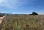 Terreny no urbanitzable en venda a la España, Dénia, ref.: TR413508 foto
