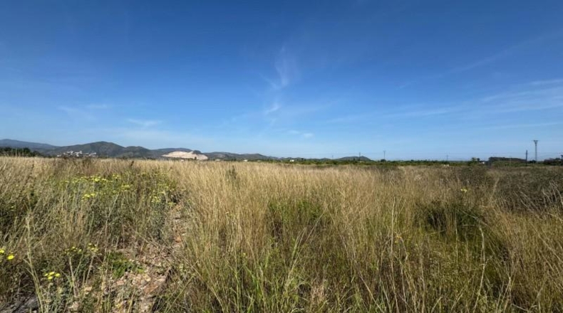 Alicante - Dénia - 16438m2