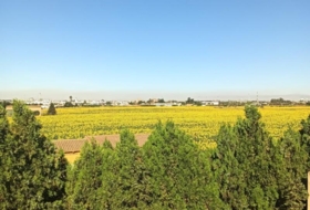 San Juan del Puerto 7798&nbsp;m²
