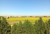 Casa de campo con terreno en venta en la España, San Juan del Puerto, ref: TR413515 foto