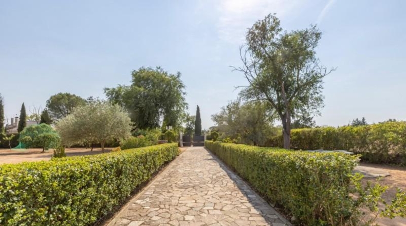 Valladolid - Trigueros del Valle - 2484m2