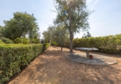 Chalet independiente con terreno en venta en la España, Trigueros del Valle, ref: TR327805 foto