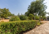 Chalet independiente con terreno en venta en la España, Trigueros del Valle, ref: TR327805 foto
