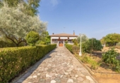 Chalet independiente con terreno en venta en la España, Trigueros del Valle, ref: TR327805 foto