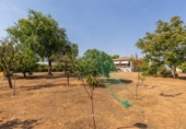 Chalet independiente con terreno en venta en la España, Trigueros del Valle, ref: TR327805 foto
