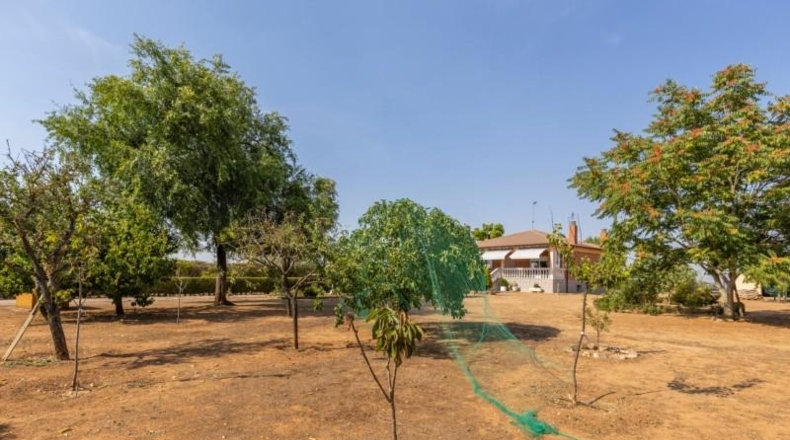 Valladolid - Trigueros del Valle - 2484m2