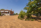 Chalet independiente con terreno en venta en la España, Trigueros del Valle, ref: TR327805 foto