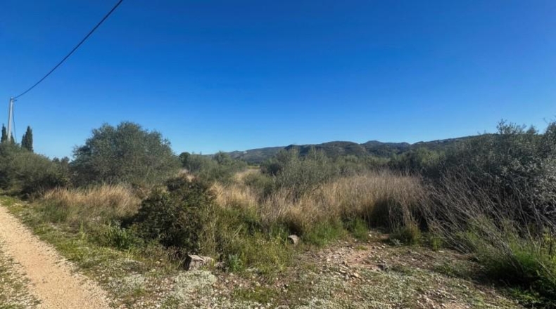 Alicante - Benidoleig - 12920m2
