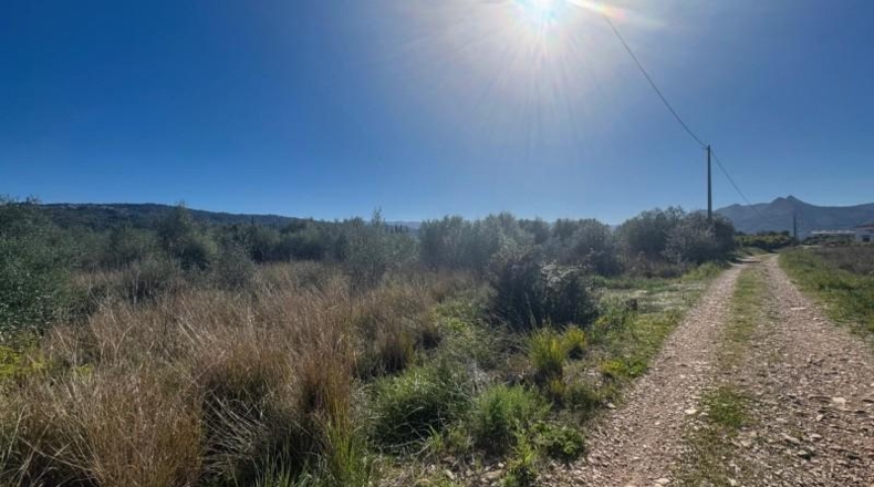 Alicante - Benidoleig - 12920m2