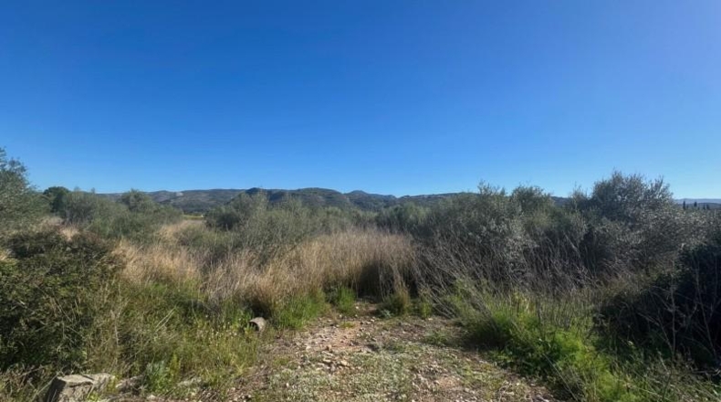 Alicante - Benidoleig - 12920m2