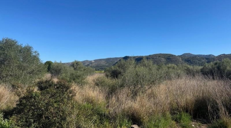 Alicante - Benidoleig - 12920m2