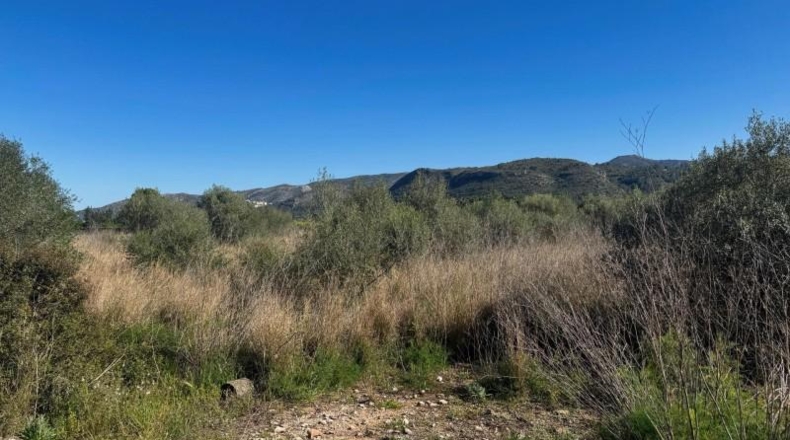Alicante - Benidoleig - 12920m2