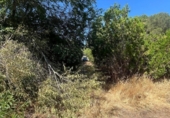 Chalet independiente con terreno en venta en la España, Sanlúcar la Mayor, ref: TR413516 foto