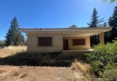 Chalet independiente con terreno en venta en la España, Sanlúcar la Mayor, ref: TR413516 foto