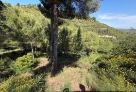 Foto 11