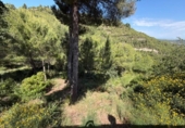 Chalet independiente con terreno en venta en la España, Marganell, ref: TR413520 foto