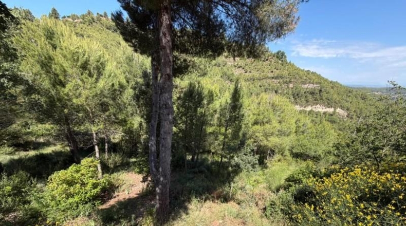 Barcelona - Marganell - 8800m2