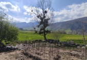 Finca rústica en venta en la España, Villaverde, ref: TR413521 foto