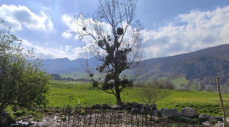 Cantabria - Villaverde - 30000m2
