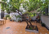 Casa de pueblo en venta en la España, Aielo de Malferit, ref: TR413524 foto