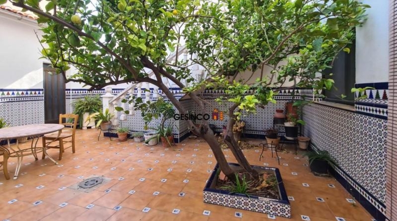 Valencia - Aielo de Malferit - 241m2