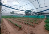 Land suitable for development for sale on España, Sanlúcar de Barrameda, ref: TR384086 photo